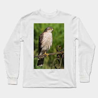 Female Sparrowhawk Hawk Bird of Prey Photo Long Sleeve T-Shirt